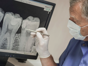 A dentist examines a teeth