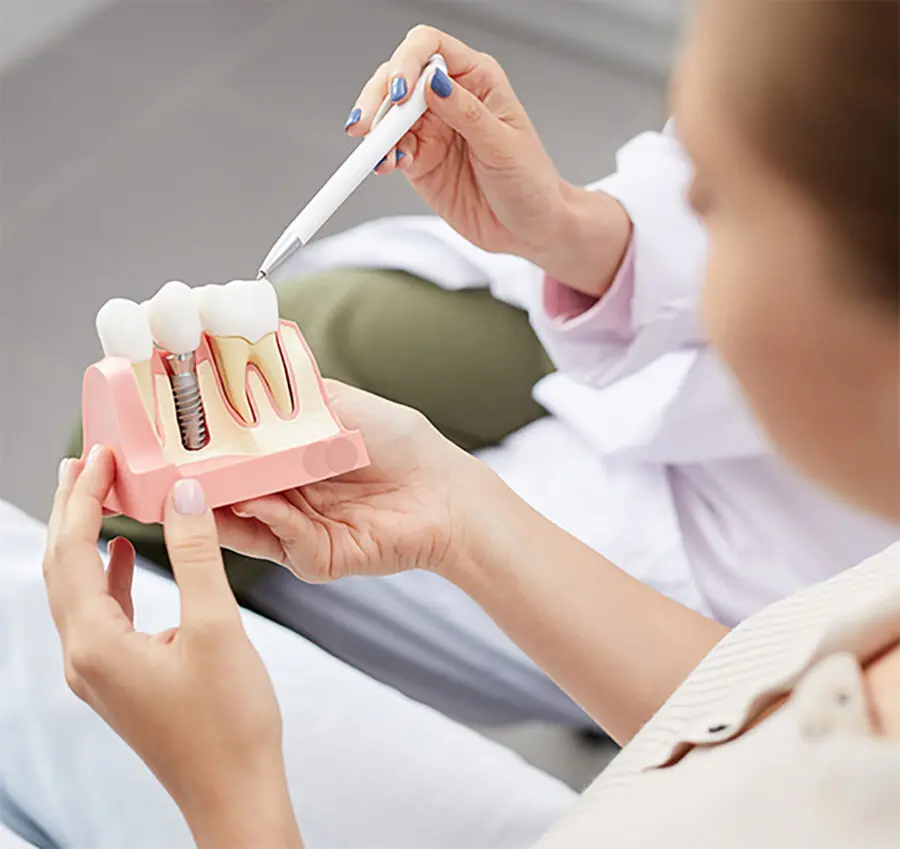 dental professional using dental implant model to discuss dental implants with patient